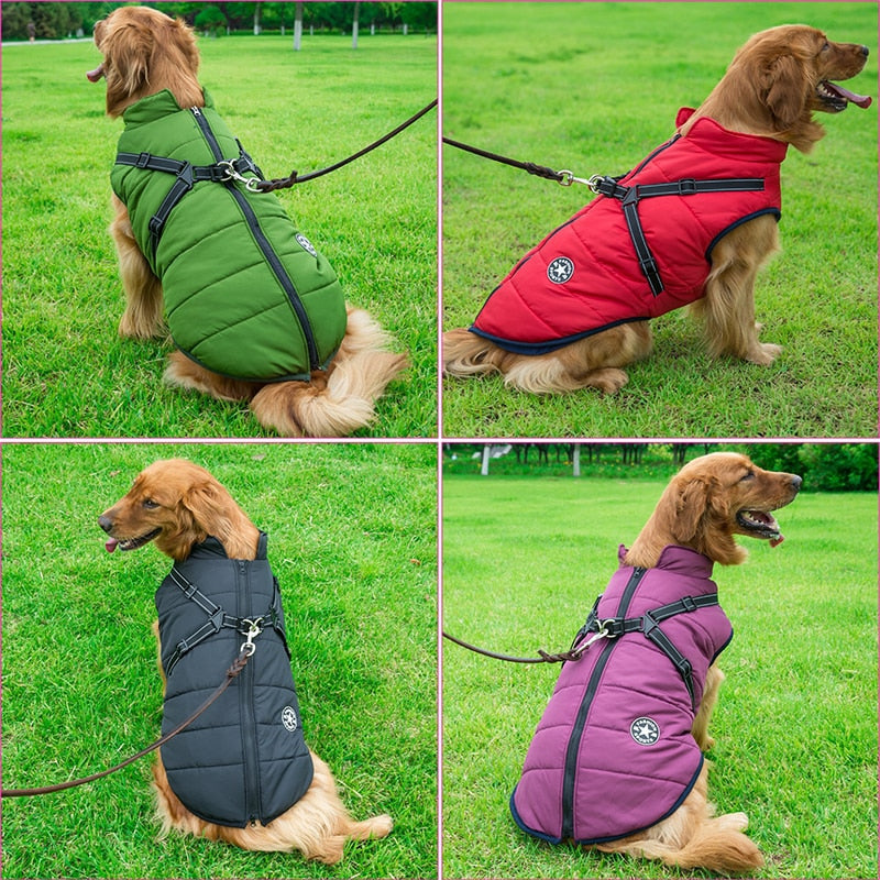 Veste d'hiver pour chien 