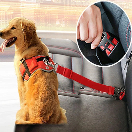 Ceinture de sécurité réglable pour chien