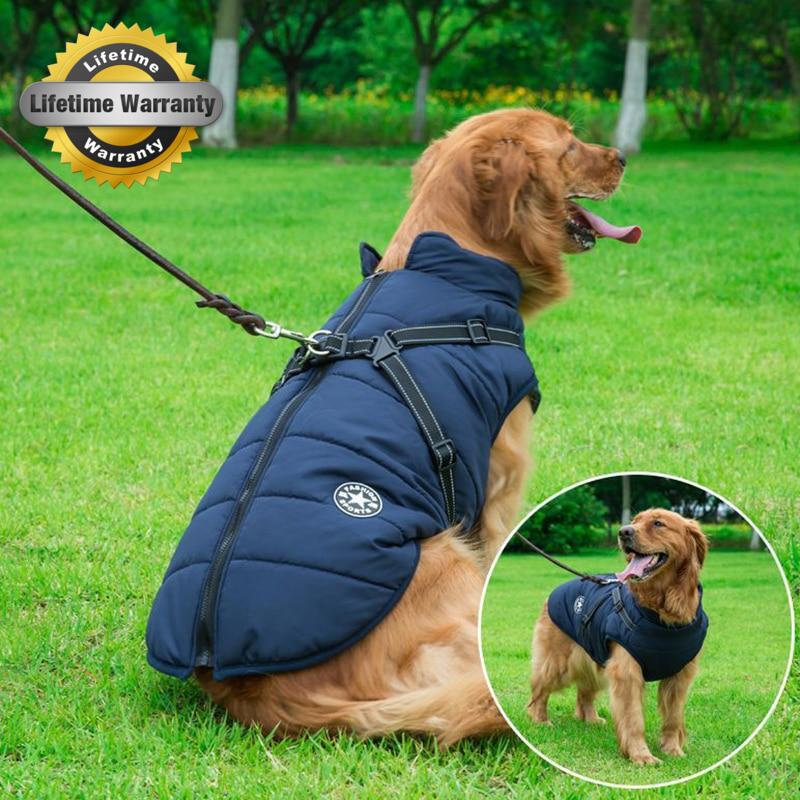 Veste d'hiver pour chien 